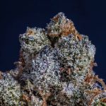 cannabis in sukhumvit